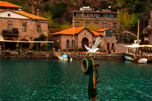 Turizm Geliştirme Kooperatifi